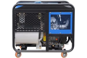 Фото 8 - Дизель генератор TSS SDG 12000EH3A с АВР.